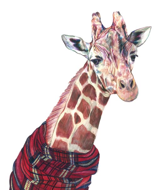 Nigel the Giraffe â€“ Signed GiclÃ©e Print
