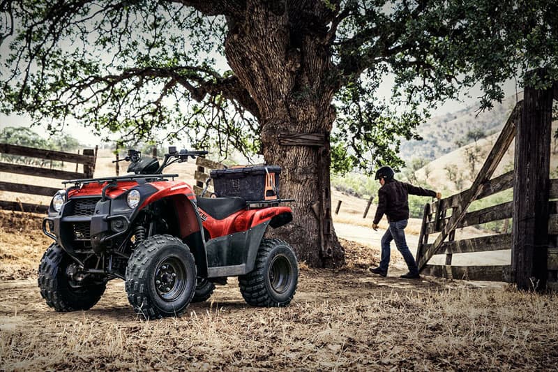 2020 KAWASAKI BRUTE FORCE 300 - New ATVs â€¢ Utility / Recreation — image 4 of 8