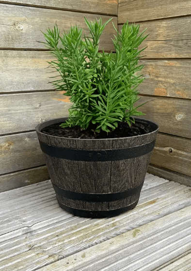 Terrastyle 31cm Whiskey Barrel Planter — image 2 of 2