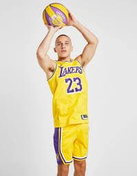 Nike NBA Los Angeles Lakers Swingman James #23 Jersey — image 2 of 3