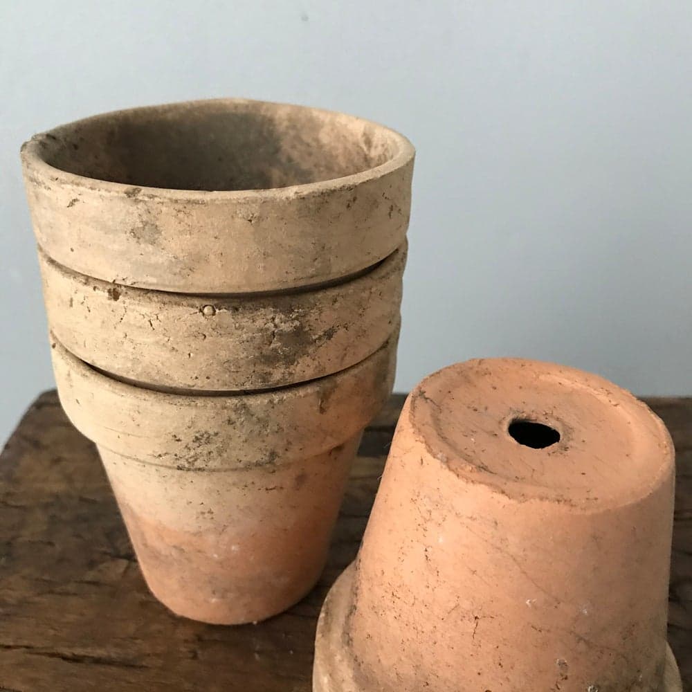 Four Seedling Pots — image 2 of 2