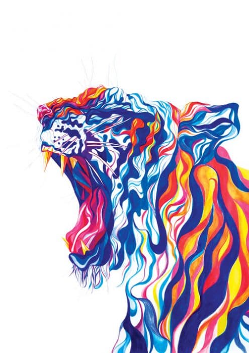 Tiger â€“ signed giclÃ©e print