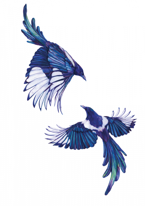 Magpies- Two For Joy â€“ Signed GiclÃ©e Print
