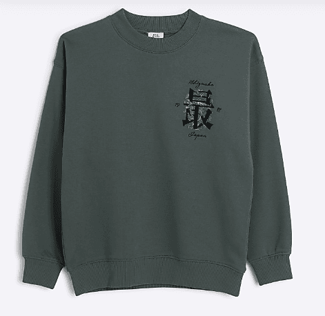 Boys khaki dragon graphic sweatshirt — image 1 of 2