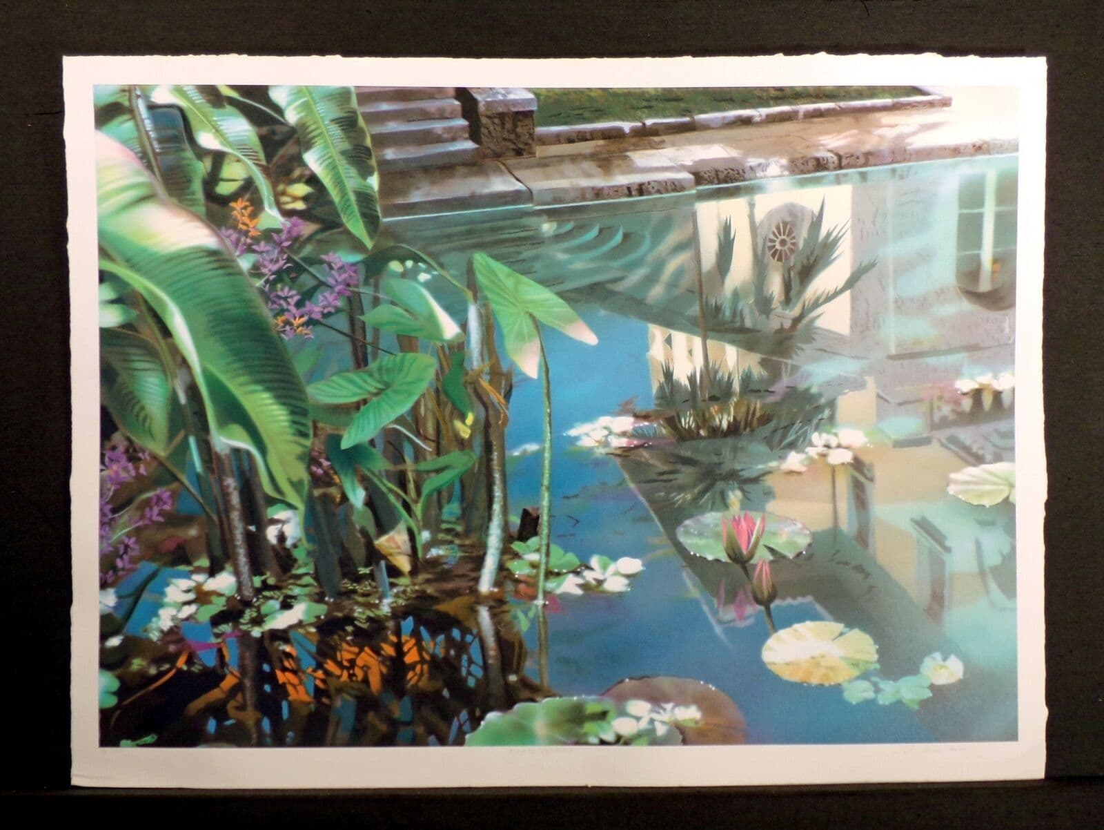 David Kessler "Tangled Reflection" Signed Numbered Lithograph Art Print OBO — image 1 of 7