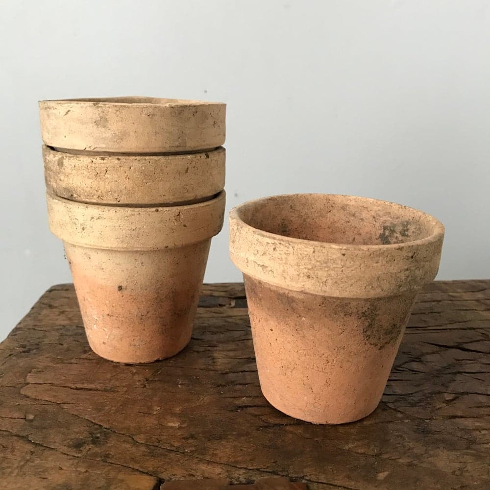 Four Seedling Pots — image 1 of 2