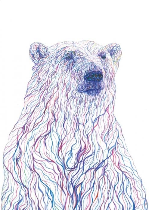 Polar Bear â€“ Signed GiclÃ©e Print — image 1 of 2