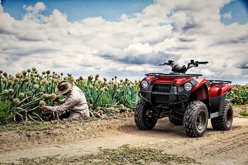 2020 KAWASAKI BRUTE FORCE 300 - New ATVs â€¢ Utility / Recreation — image 5 of 8